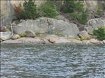 Sweden 2007-08 214